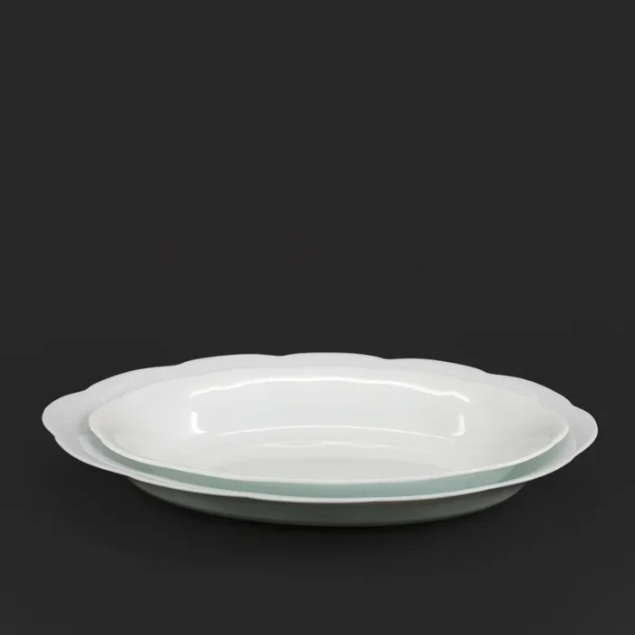 دیس مرغ خوری سرویس 2 پارچه اپال مرغ خوری نیلوفری